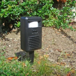 Rentokil Pestfree Cat And Fox Deterrent -10m Range 11 Rentokil Pestfree Cat And Fox Deterrent -10m Range -GreenScape Sales Store 12804027 2064895359024587