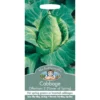 Mr. Fothergill's Cabbage Offenham 2 Flower Of Spring (Brassica Oleracea Capitata) Seeds -GreenScape Sales Store 12804136 7014831949495973