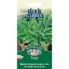 Mr. Fothergill's Sage (Salvia Officinalis) Seeds -GreenScape Sales Store 12804291 1064895131414362