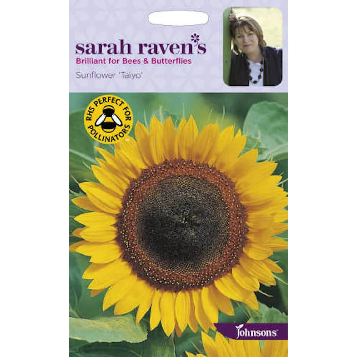 Sarah Ravens Sunflower Taiyo Seeds 3 Sarah Ravens Sunflower Taiyo Seeds