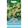 Mr. Fothergill's Poached Egg Plant Seeds -GreenScape Sales Store 12804481 7514831589452566