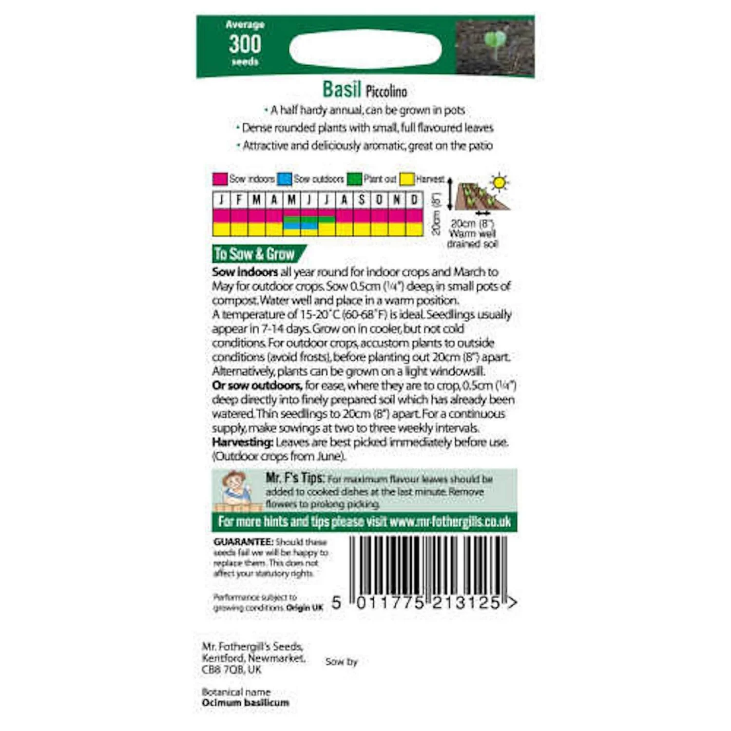 Mr. Fothergill's Basil Piccolino Seeds 4 Mr. Fothergill's Basil Piccolino Seeds - Image 2