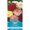 Mr. Fothergill's Carnation Choice Double Mixed Seeds 1 Mr. Fothergill's Carnation Choice Double Mixed Seeds -GreenScape Sales Store 12804502 8894831952365374