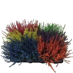 None Heather Mix -GreenScape Sales Store 12804629 1574898246769774