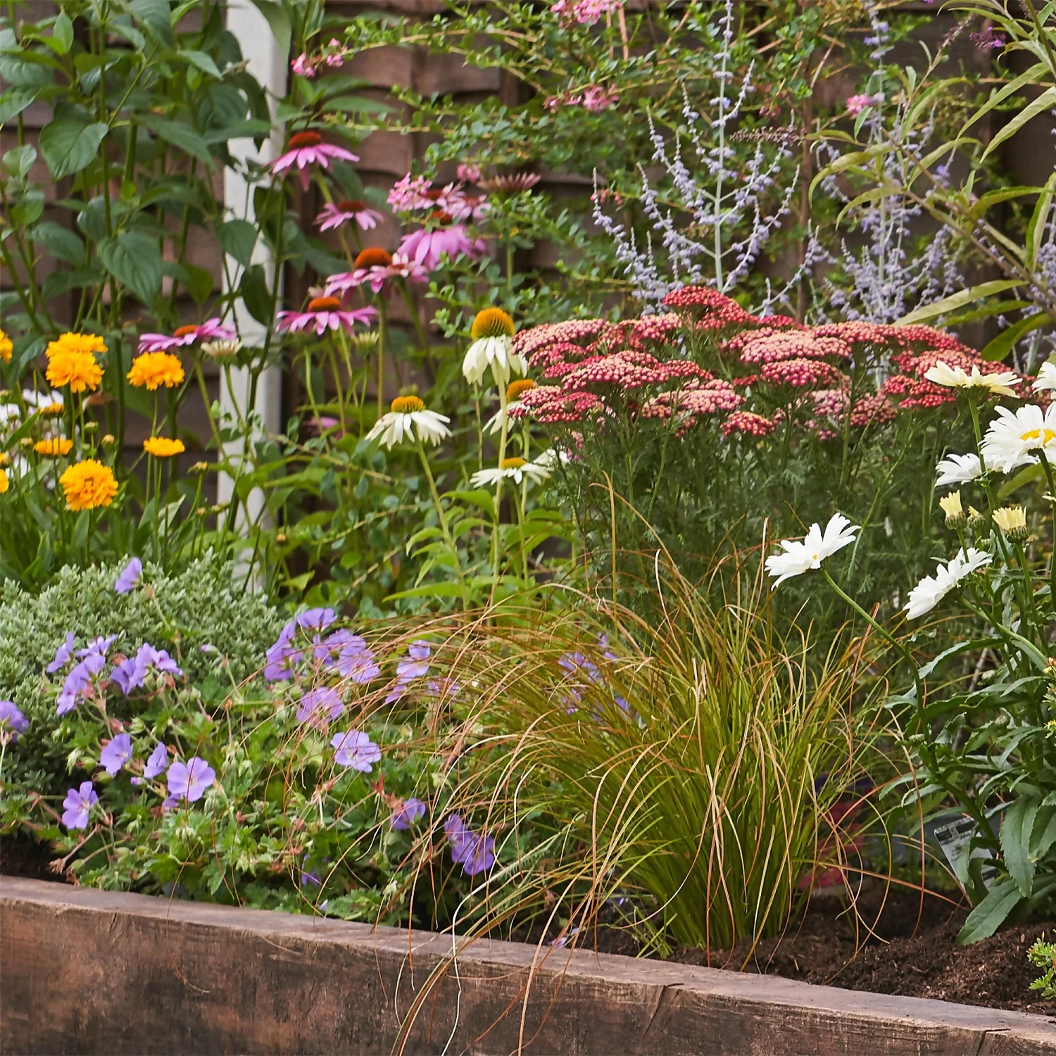 Bee And Butterfly Border Collection - 9m X 90cm 6 Bee And Butterfly Border Collection - 9m X 90cm - Image 4