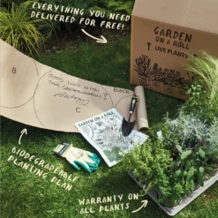 Sensory Border Collection - 8m X 60cm -GreenScape Sales Store 12806941 5605034599036040