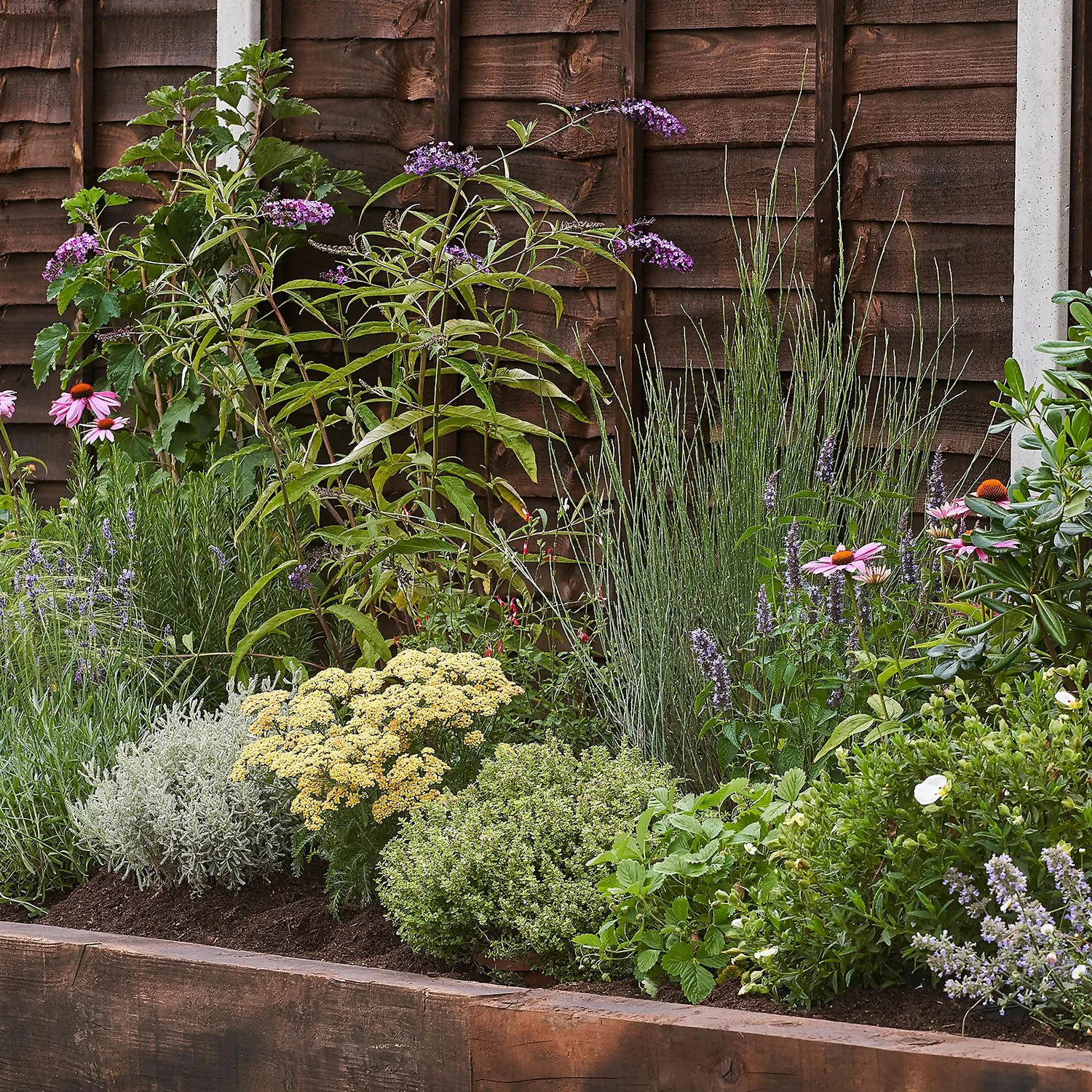 Sensory Border Collection - 3m X 90cm 3 Sensory Border Collection - 3m X 90cm