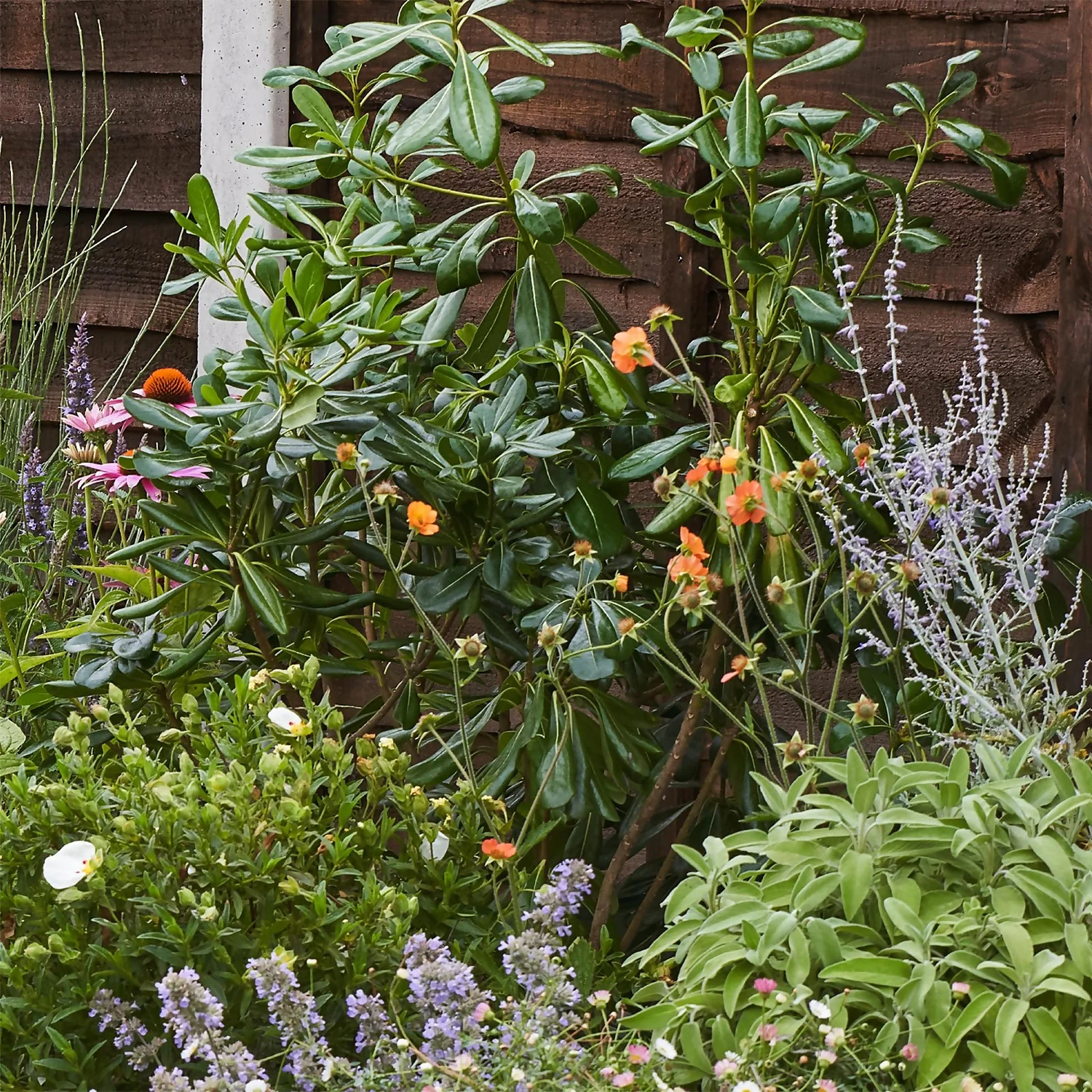 Sensory Border Collection - 4m X 90cm 8 Sensory Border Collection - 4m X 90cm - Image 6