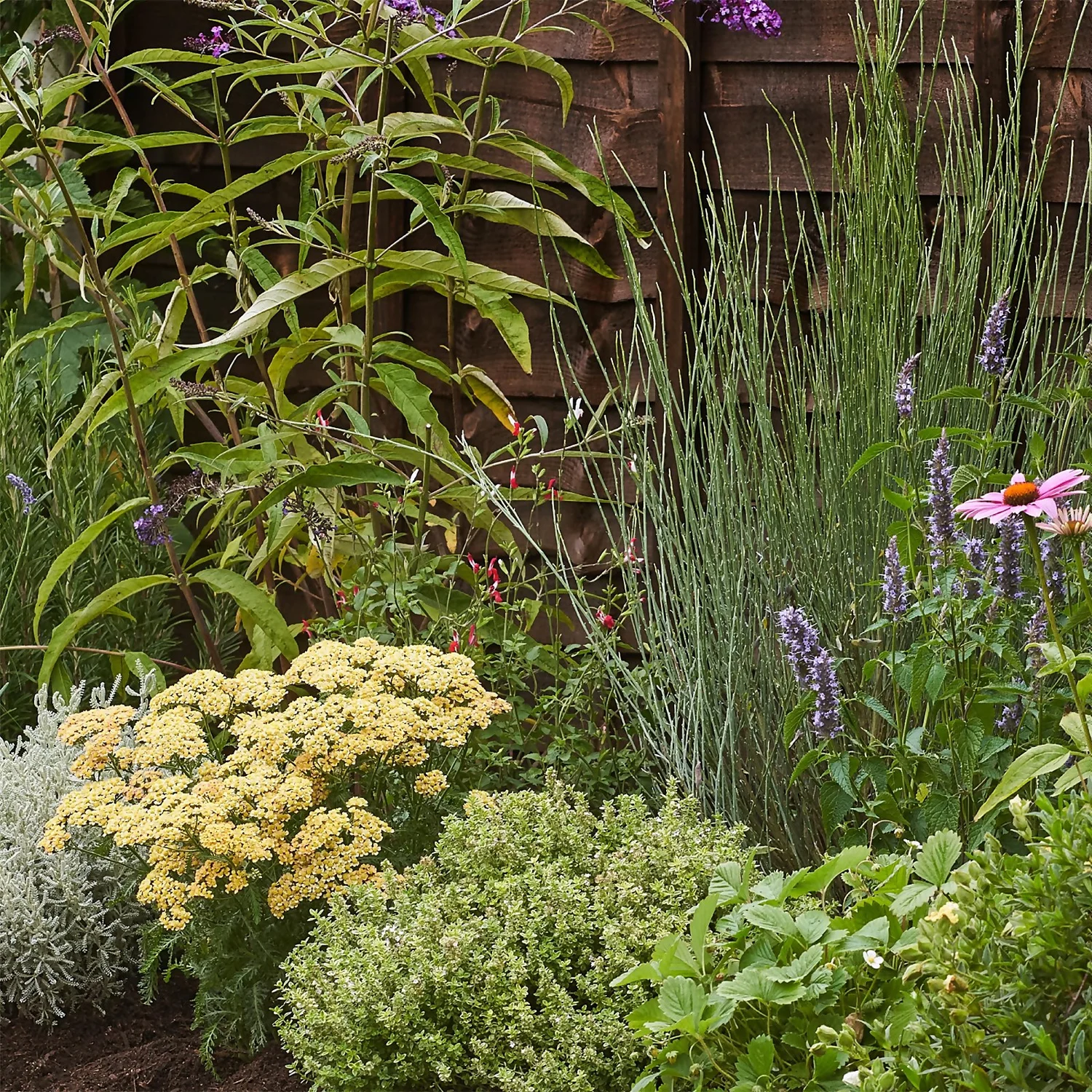 Sensory Border Collection - 4m X 90cm 7 Sensory Border Collection - 4m X 90cm - Image 5