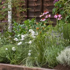 Sensory Border Collection - 6m X 90cm -GreenScape Sales Store 12806959 1675034598920012