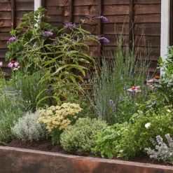 Sensory Border Collection - 6m X 90cm