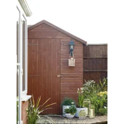 Grass Festuca Intense Blue (Blue Fescue) 17cm 8 Grass Festuca Intense Blue (Blue Fescue) 17cm -GreenScape Sales Store 12807045 1834833169401858