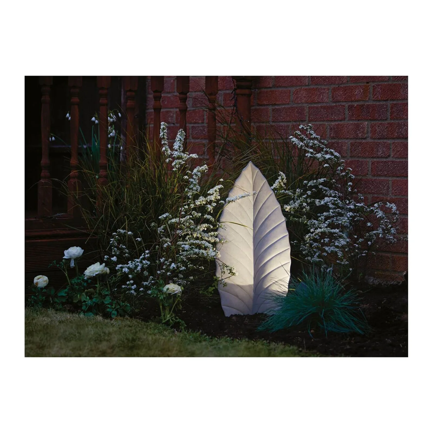 Grass Festuca Intense Blue (Blue Fescue) 17cm 4 Grass Festuca Intense Blue (Blue Fescue) 17cm - Image 2