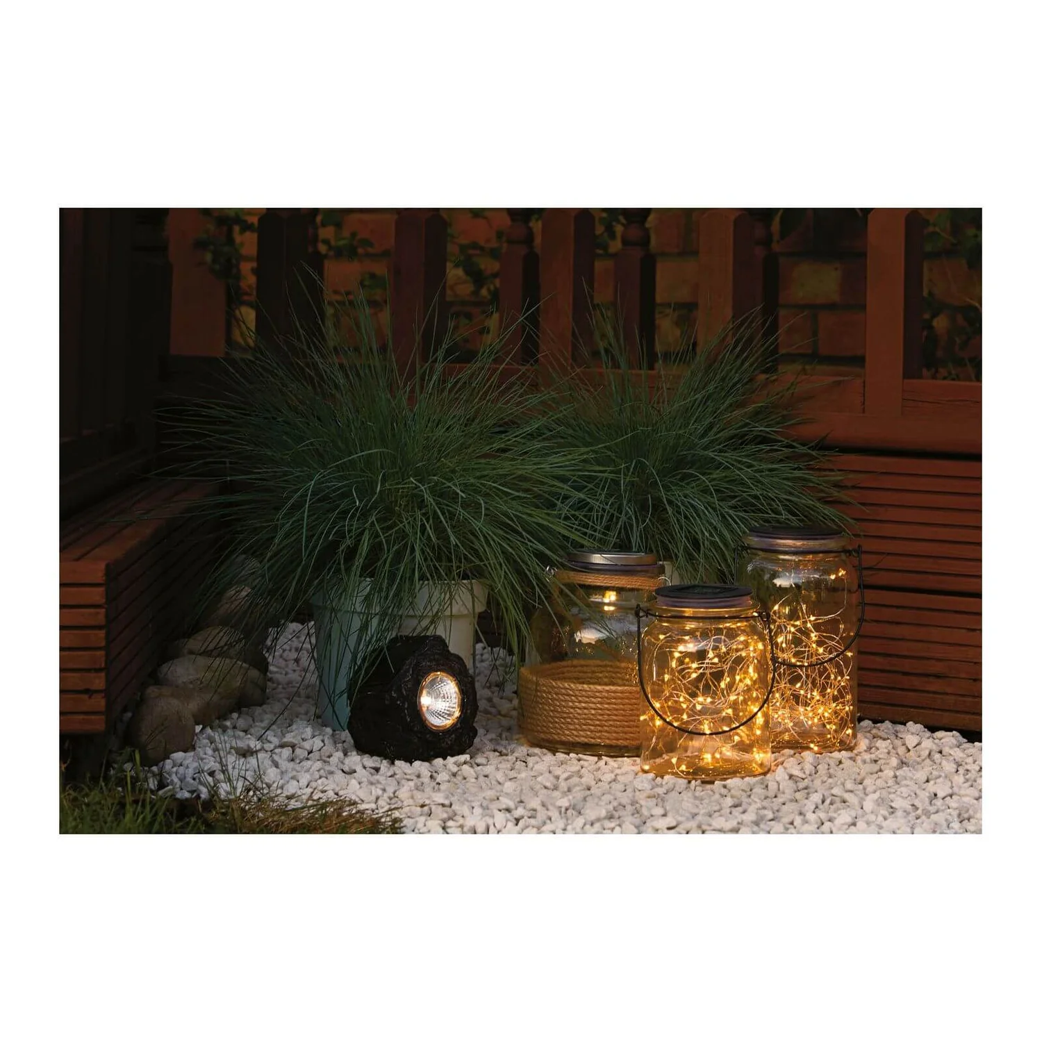 Grass Festuca Intense Blue (Blue Fescue) 17cm 6 Grass Festuca Intense Blue (Blue Fescue) 17cm - Image 4