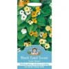 Mr. Fothergill's Black Eyed Susan Susie Mixed (Thunbergia Alata) Seeds -GreenScape Sales Store 12807068 1604843311154773