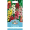 Mr. Fothergill's Antirrhinum Rust Resistant Mixed (Antirrhinum Majus) Seeds -GreenScape Sales Store 12807299 5054831941087039