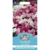 Mr. Fothergill's Candytuft Fairy Mixed (Iberis Umbellata) Seeds -GreenScape Sales Store 12807481 1054843313999079