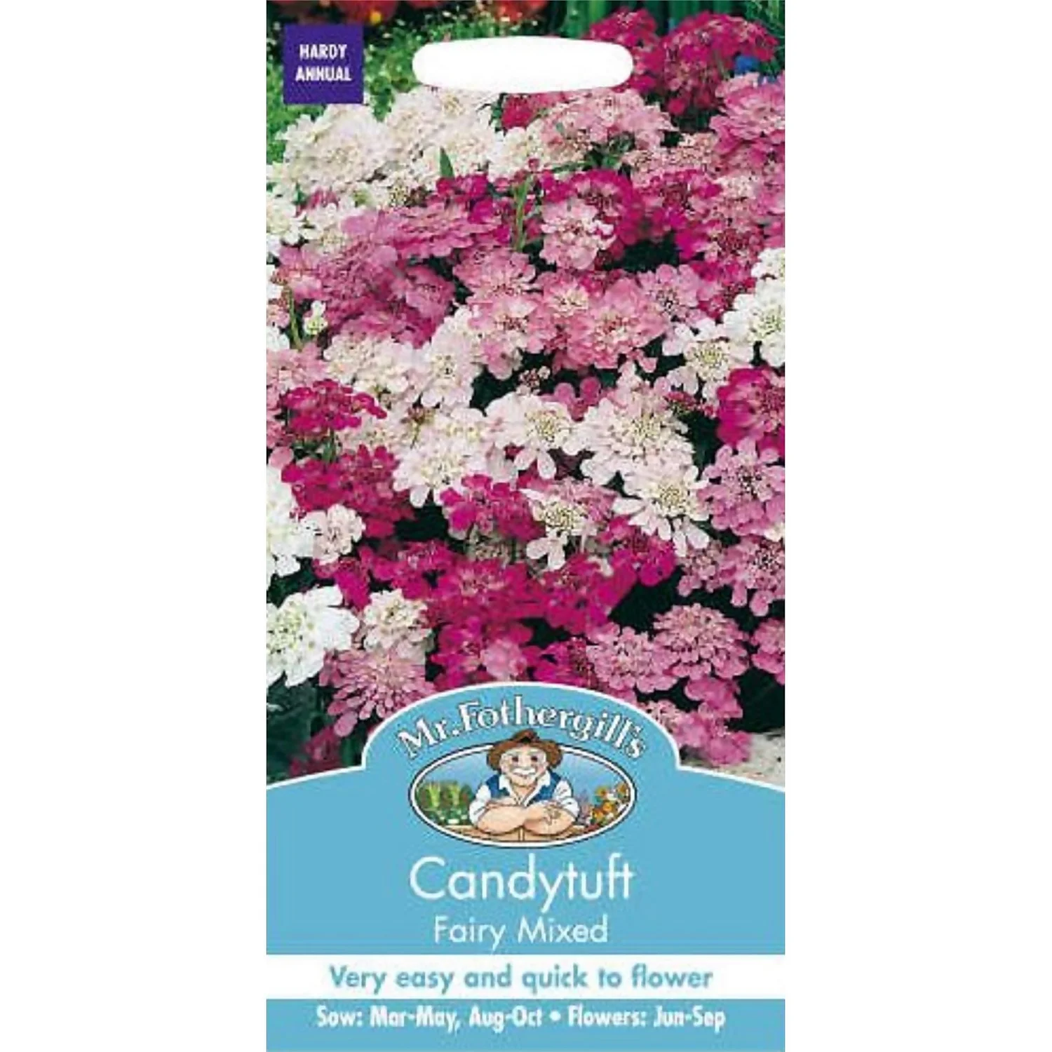 Mr. Fothergill's Candytuft Fairy Mixed (Iberis Umbellata) Seeds 3 Mr. Fothergill's Candytuft Fairy Mixed (Iberis Umbellata) Seeds