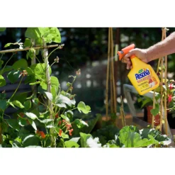 Resolva Bug Killer - 1L -GreenScape Sales Store 12807606 3485019845587767