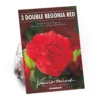 None Begonia - Red - Summer Bloom Bulbs -GreenScape Sales Store 12807873 2115020399369989