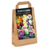 None 100 Days Collection Spring Bulbs -GreenScape Sales Store 12807874 2045020399201413