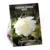 None Begonia - White - Summer Bloom Bulbs -GreenScape Sales Store 12807884 7495020399365603