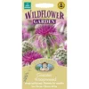 Mr. Fothergill's Greater Knapweed Seeds 1 Mr. Fothergill's Greater Knapweed Seeds -GreenScape Sales Store 12807922 1274843311534240