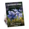 None Agapanthus Donau 2 None Agapanthus Donau -GreenScape Sales Store 12807995 5655020399522977
