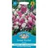 Mr. Fothergill's Sweet Rocket Mixed Seeds -GreenScape Sales Store 12808036 1404843311634407