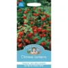 Mr. Fothergill's Chinese Lanterns (Physalis Alkekengi) Seeds -GreenScape Sales Store 12808435 3244831948663632