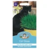 Mr. Fothergill's Cat Grass Avena Sativa Seeds -GreenScape Sales Store 12808633 1724831885016205
