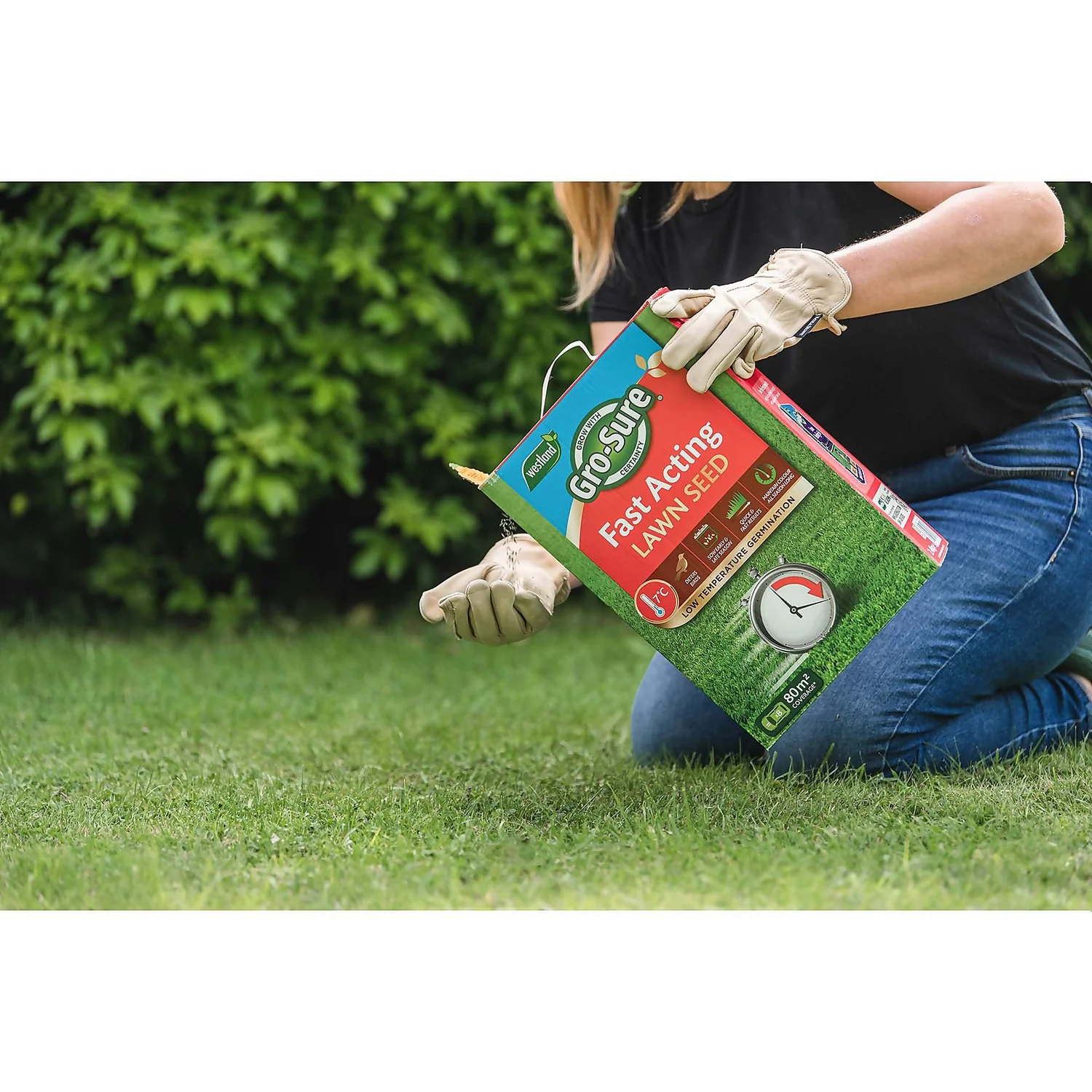 Gro-Sure Fast Acting Lawn Seed - 80m² 5 Gro-Sure Fast Acting Lawn Seed - 80m² - Image 3
