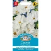 Mr. Fothergill's Cosmos Psyche White Seeds -GreenScape Sales Store 12808920 1304831431887001