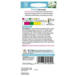 Mr. Fothergill's Cleome Colour Fountain (Cleome Spinosa) Seeds -GreenScape Sales Store 12808987 1174833205998414