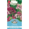Mr. Fothergill's Cleome Colour Fountain (Cleome Spinosa) Seeds -GreenScape Sales Store 12808987 7104831950664623