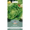 Mr. Fothergill's Lettuce All The Year Round (Lactuca Sativa) Seeds -GreenScape Sales Store 12809306 1544831907707476