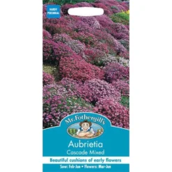 Mr. Fothergill's Aubretia Cascade Mixed (Aubretia Cultorum) Seeds