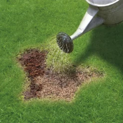 Miracle-Gro Patch Magic Grass Seed, Feed & Coir - 10 Patch Jug -GreenScape Sales Store 12809397 7204927299156486