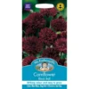 Mr. Fothergill's Cornflower Black Ball (Centaurea Cyanus) Seeds -GreenScape Sales Store 12809521 6524831917866613