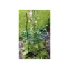 Plant Support Ring -GreenScape Sales Store 12809611 1334831954034592