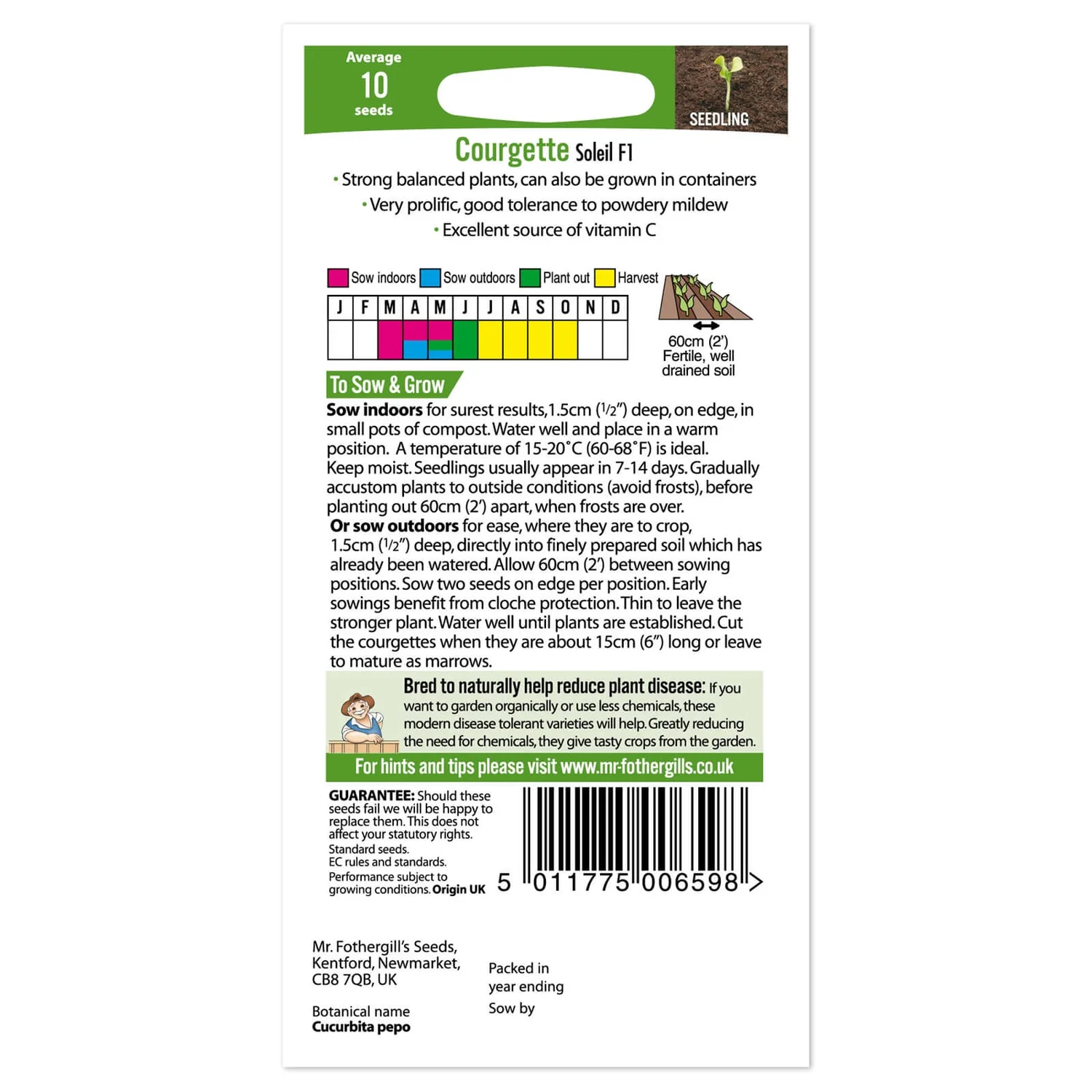 Mr. Fothergill's Courgette Soleil F1 Seeds 4 Mr. Fothergill's Courgette Soleil F1 Seeds - Image 2