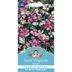 Mr. Fothergill's Stock Virginian Mixed Seeds