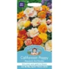 Mr. Fothergill's Californian Poppy Monarch Art Shades (Eschscholzia Californica) Seeds -GreenScape Sales Store 12810274 8624831966005885