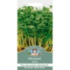 Mr. Fothergill's Mustard White (Brassica Sinapsis Alba) Seeds -GreenScape Sales Store 12810344 2104831898760111
