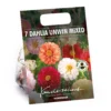 None Mixed Unwin Dahlia's - Summer Bloom Bulbs -GreenScape Sales Store 12810511 1815020399040286