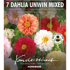 None Mixed Unwin Dahlia's - Summer Bloom Bulbs -GreenScape Sales Store 12810511 2035020399086873