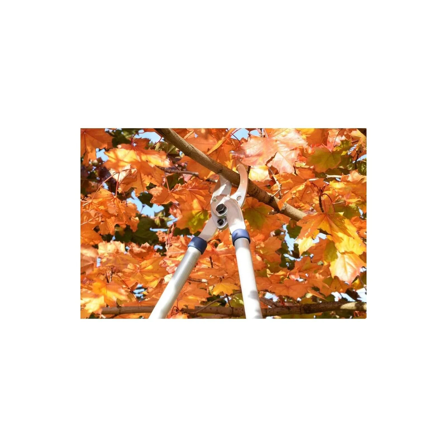 Spear & Jackson Razorsharp Tele Bypass Lopper 6 Spear & Jackson Razorsharp Tele Bypass Lopper - Image 4