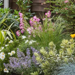 Sunny Border Collection - 9m X 90cm -GreenScape Sales Store 12811340 2545034640679403