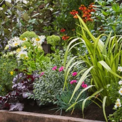 Sunny Border Collection - 9m X 90cm -GreenScape Sales Store 12811340 5525034640615455