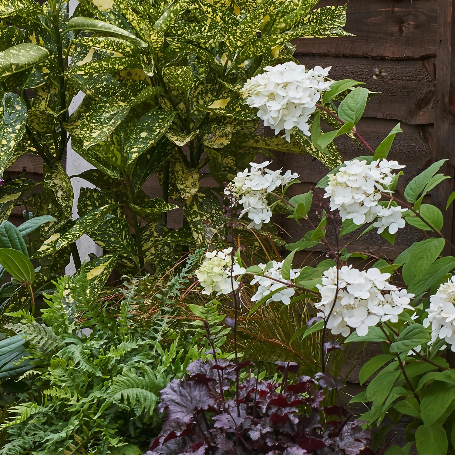 Shady Border Collection - 9m X 60cm 8 Shady Border Collection - 9m X 60cm - Image 6